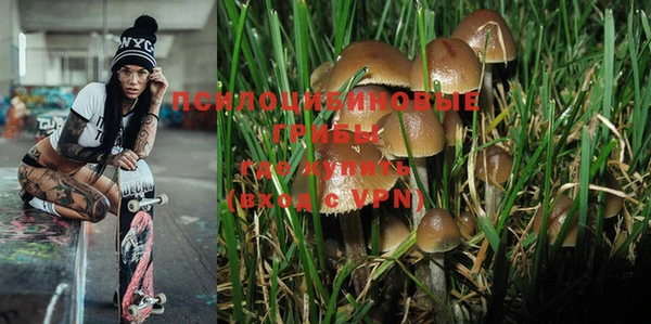 прущая мука Михайловск