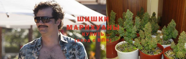 шишки Михайловка