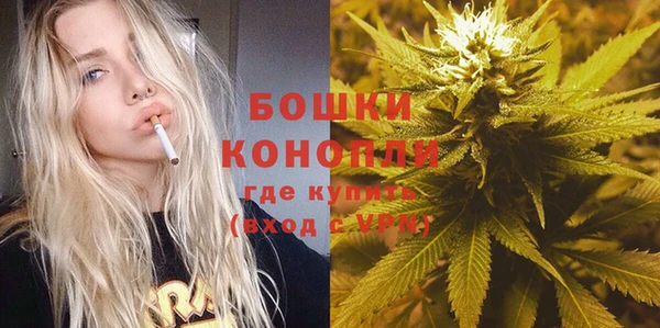 шишки Михайловка
