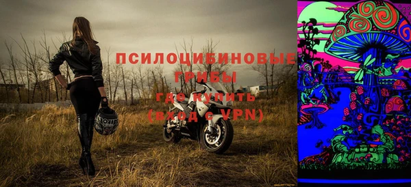 apvp Михайлов