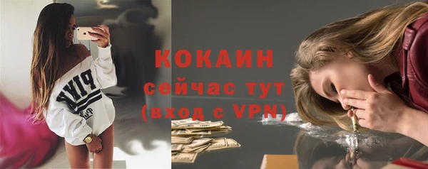 шишки Михайловка
