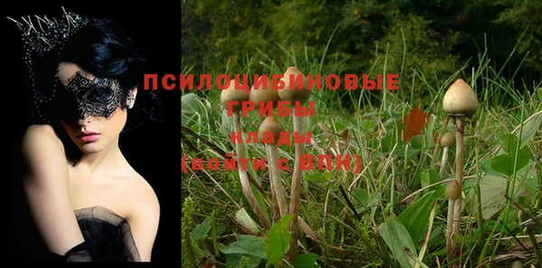 apvp Михайлов