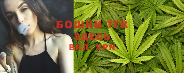 шишки Михайловка