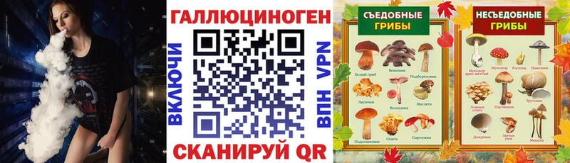 где продают   OMG как войти  Галлюциногенные грибы мухоморы  Златоуст 