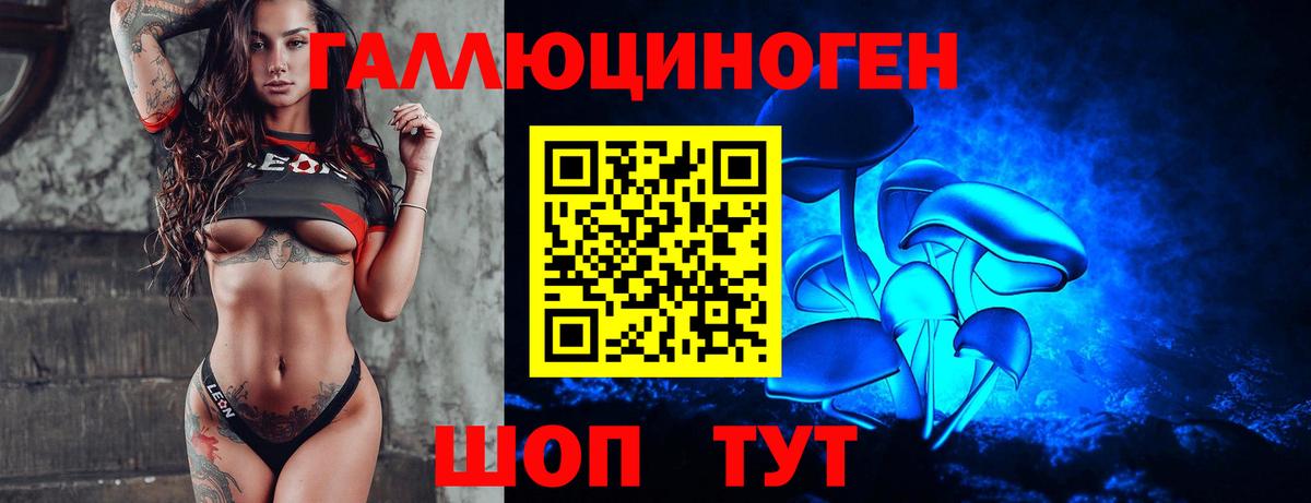 Златоуст  Псилоцибиновые грибы Psilocybine cubensis  Вход с VPN 